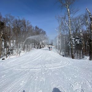 Meet your Posher, Jake